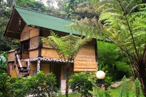 Bamboo Village Kuala Lumpur