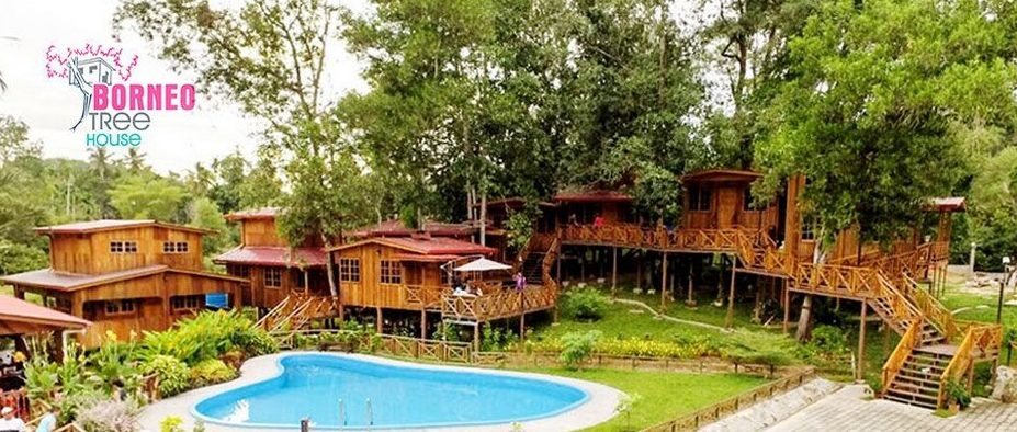 borneo tree house