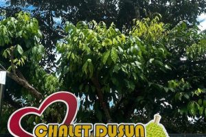 Capital O 91153 Chalet Dusun Duriyan