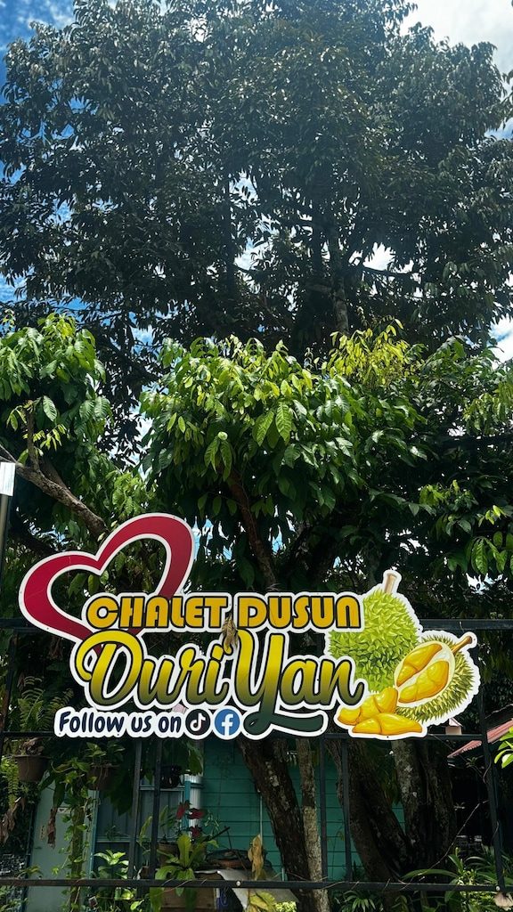 capital o 91153 chalet dusun duriyan
