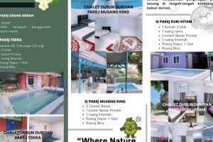 Chalet dusun duriyan