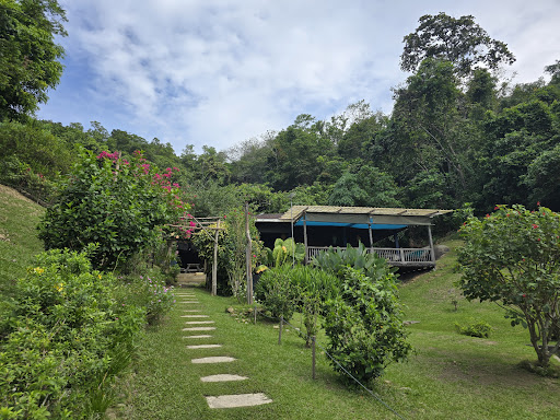 Bigfin Beach Resort Bigfin Beach Resort