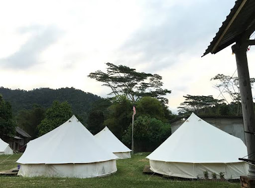 Canopy Tribe Canopy Tribe