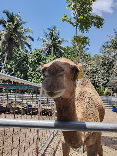 Zoo Rimba Razia