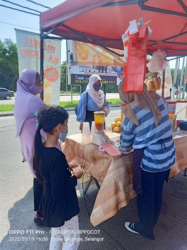 Kampung Teluk Piai Kampung Teluk Piai