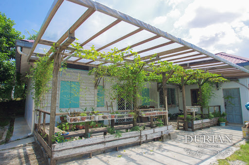Durian Guesthouse 流連宿
