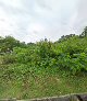 emr1246 Lot908 Mukim senai-kulai emr1246 Lot908 Mukim senai-kulai