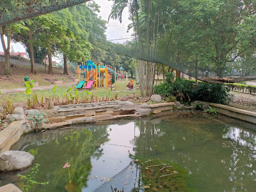 Rock Garden