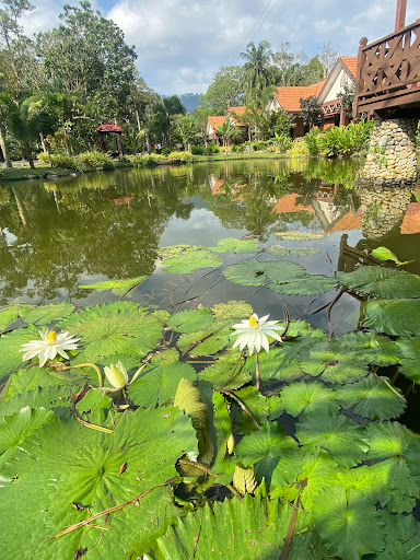 Sugeh Hill Exclusive Eco Resort, Janda Baik Sugeh Hill Exclusive Eco Resort, Janda Baik