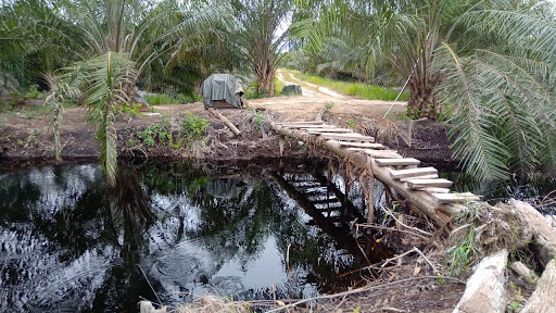 Hutan Simpan Binsulok Hutan Simpan Binsulok