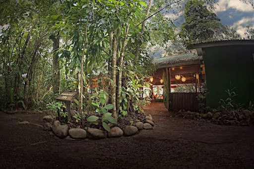 Permai Rainforest Resort