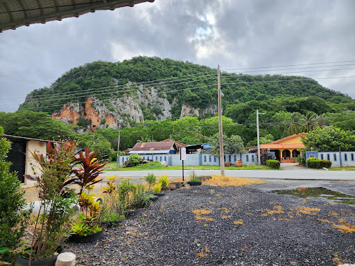 Chalet Purnama Gunung
