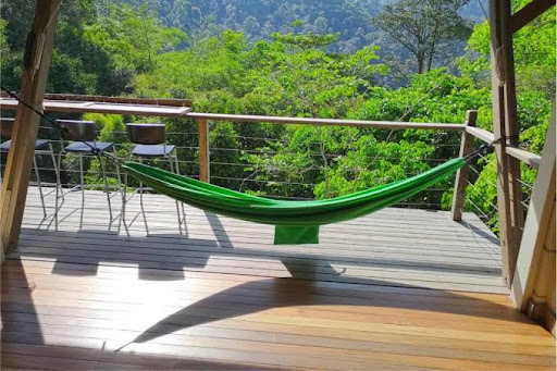 Langit Rimba Langit Rimba