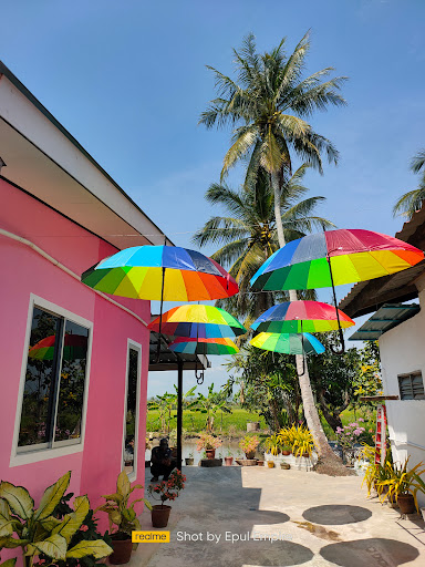 Pink Homestay D'Perlis