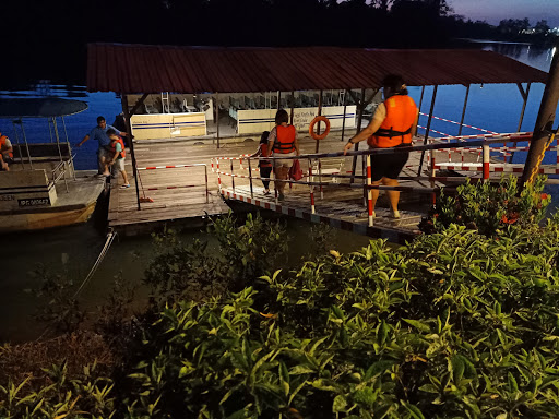 Kota Tinggi Firefly Park