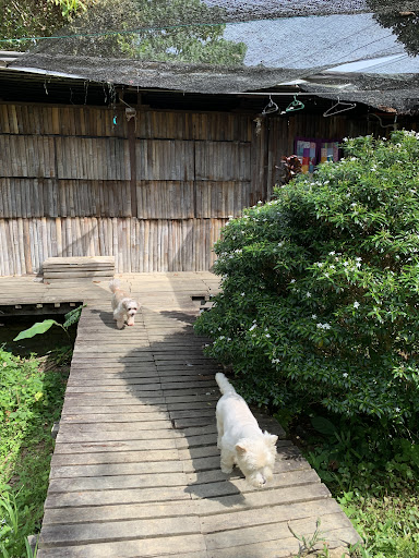 Drmind Farm