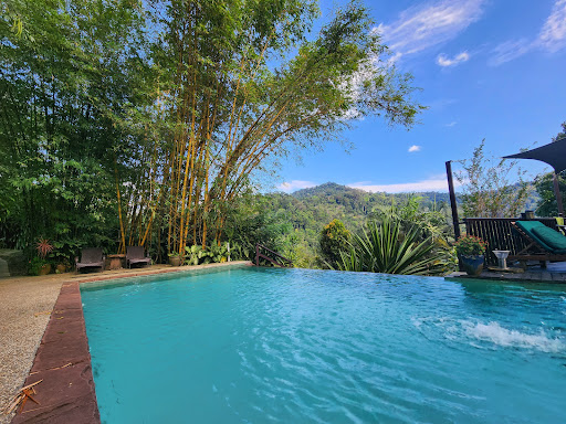 Dusuntara Jungle Resort