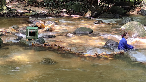 Taman Eko Rimba, Sungai Tua Taman Eko Rimba, Sungai Tua