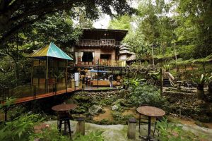 Fig Tree Hill Resort