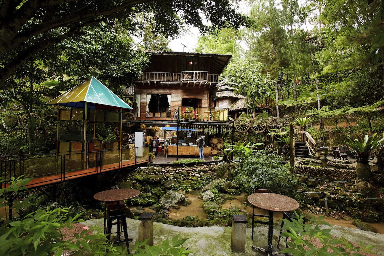 fig tree hill resort