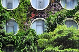 Flora by Crossroads Hotel