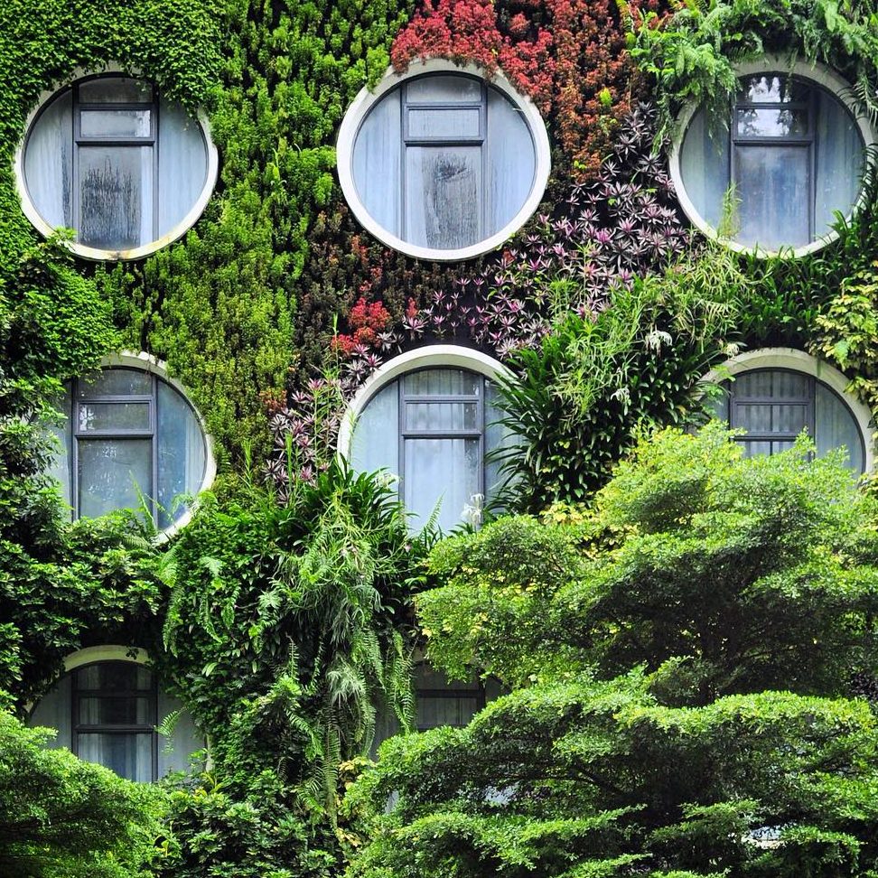 flora by crossroads hotel