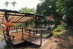 Golden Snapper Guest House