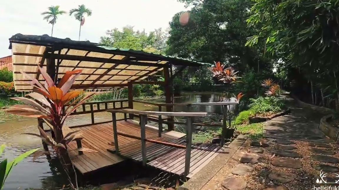 golden snapper guest house