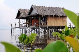 Homestay Balik Pulau Ilham Baiduri