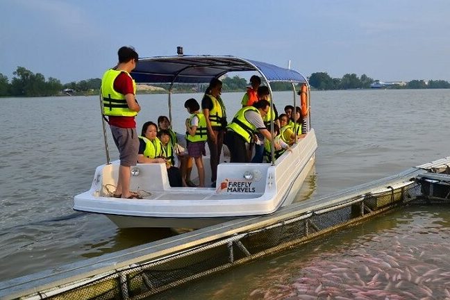 teluk intan firefly marvels river cruise perak