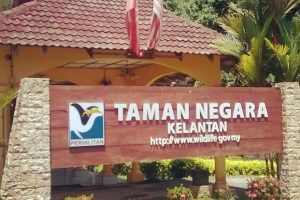 Tempat Percutian Terbaik: Panduan Lengkap Resort di Gua Musang, Malaysia untuk Pengalaman Tak Terlupakan
